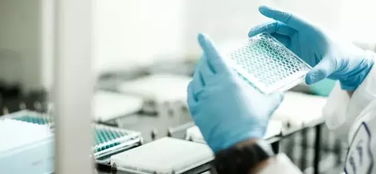 生物技術(shù)賦能化妝品植物原料開發(fā) 開啟綠色美容新紀(jì)元